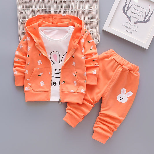 Toddler Hoodie Set